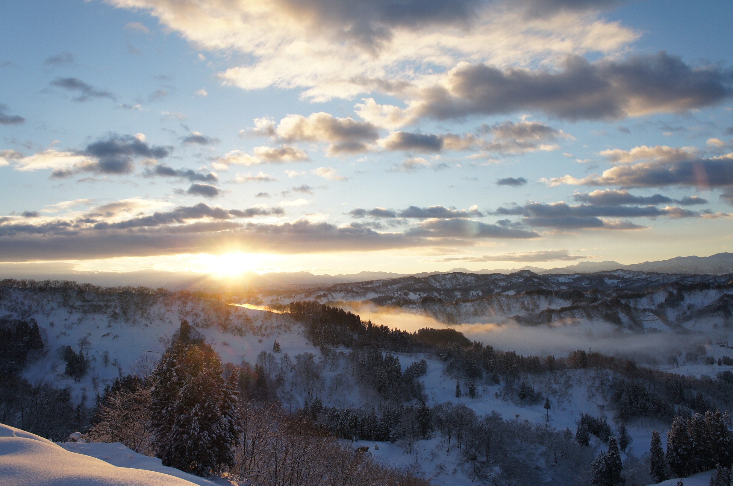 Winter Dawn