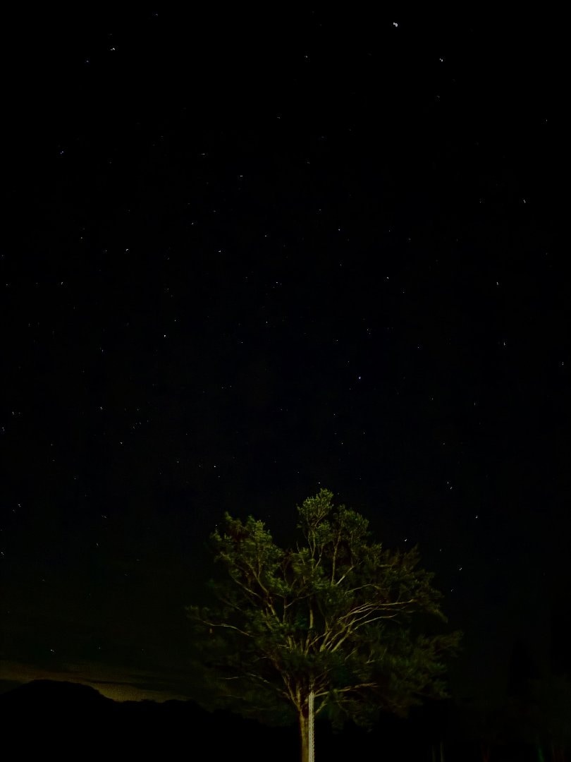 D185B913-0DA0-4BC6-A43E-13514D62E3B7.jpeg