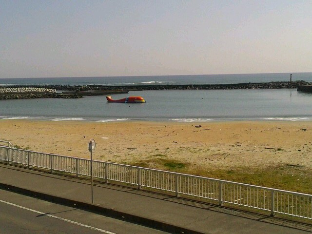 Hiraiso Beach "Daichan" whale seen from the room