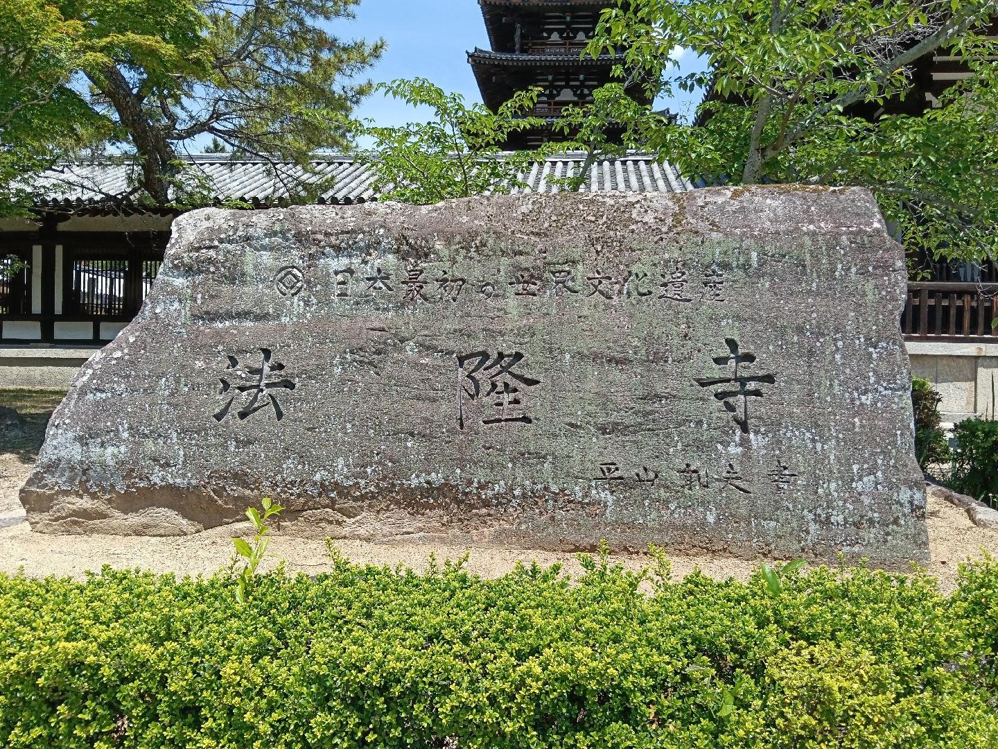 561.jpg