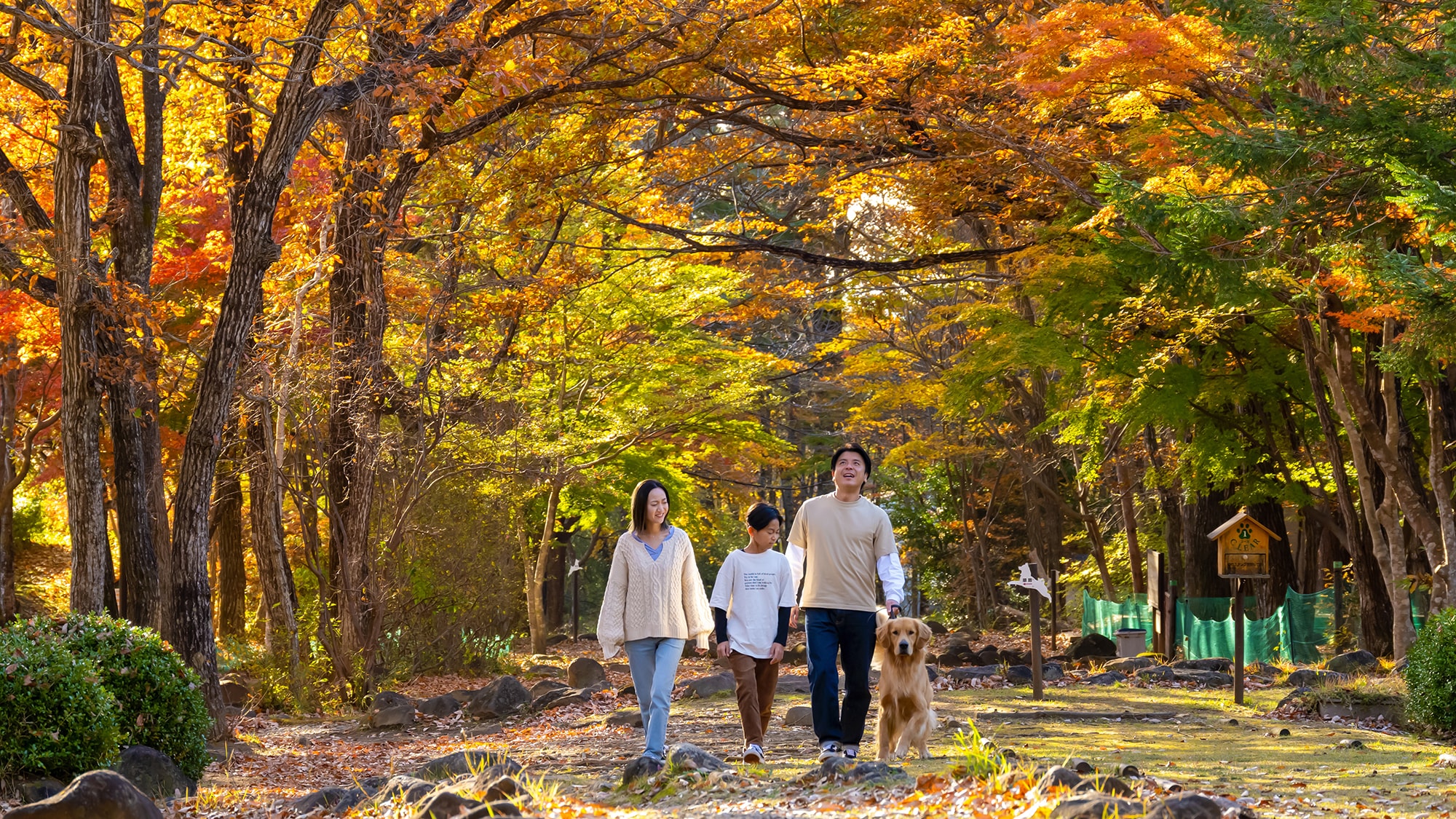 Even if you don't usually have a walk, the whole family today ♪