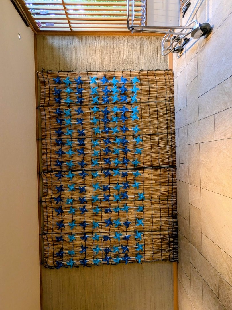 1000040394.jpg