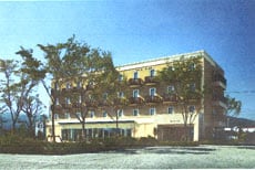 Appearance image