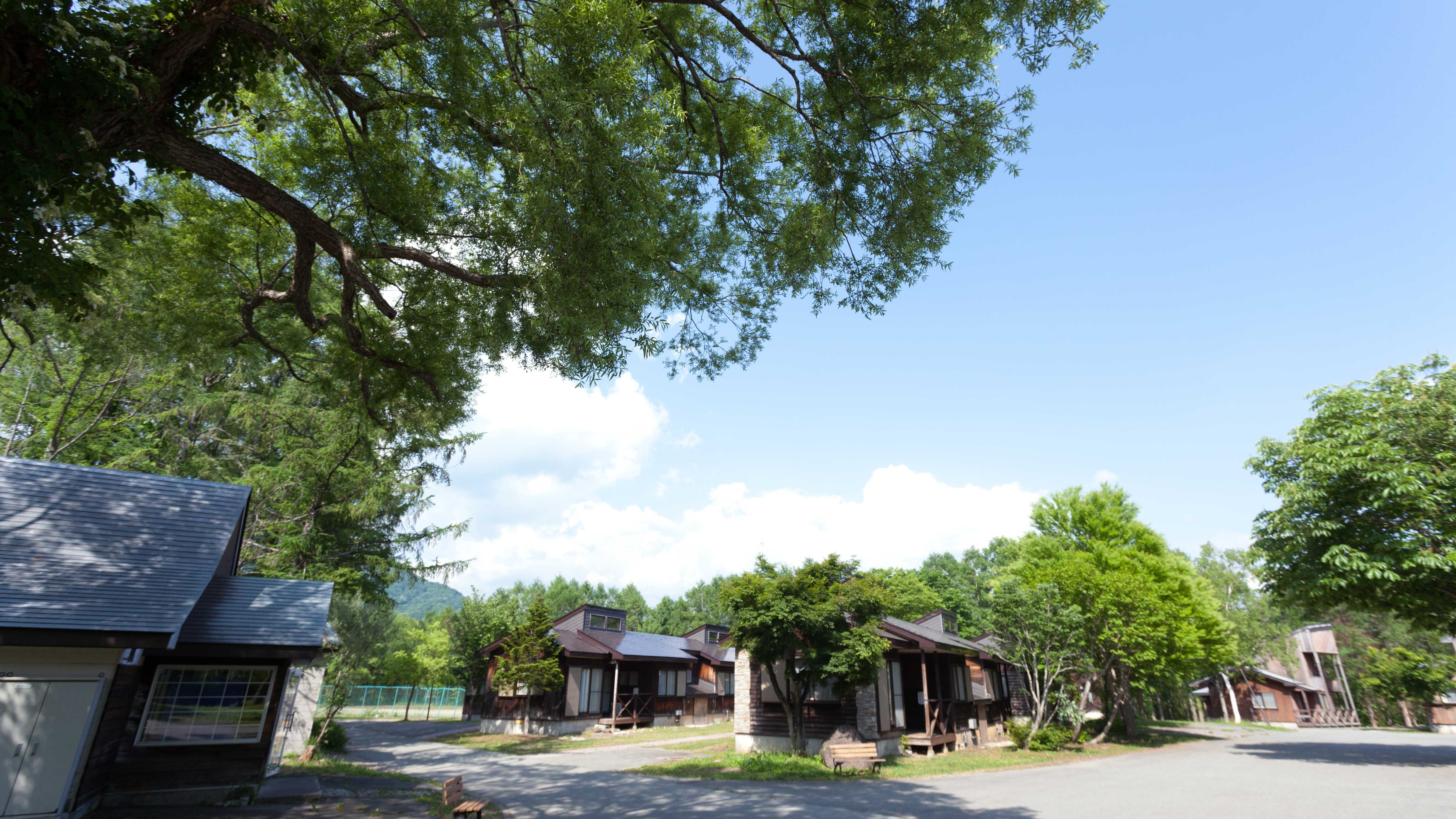 Bagian dalam tempat tersebut.