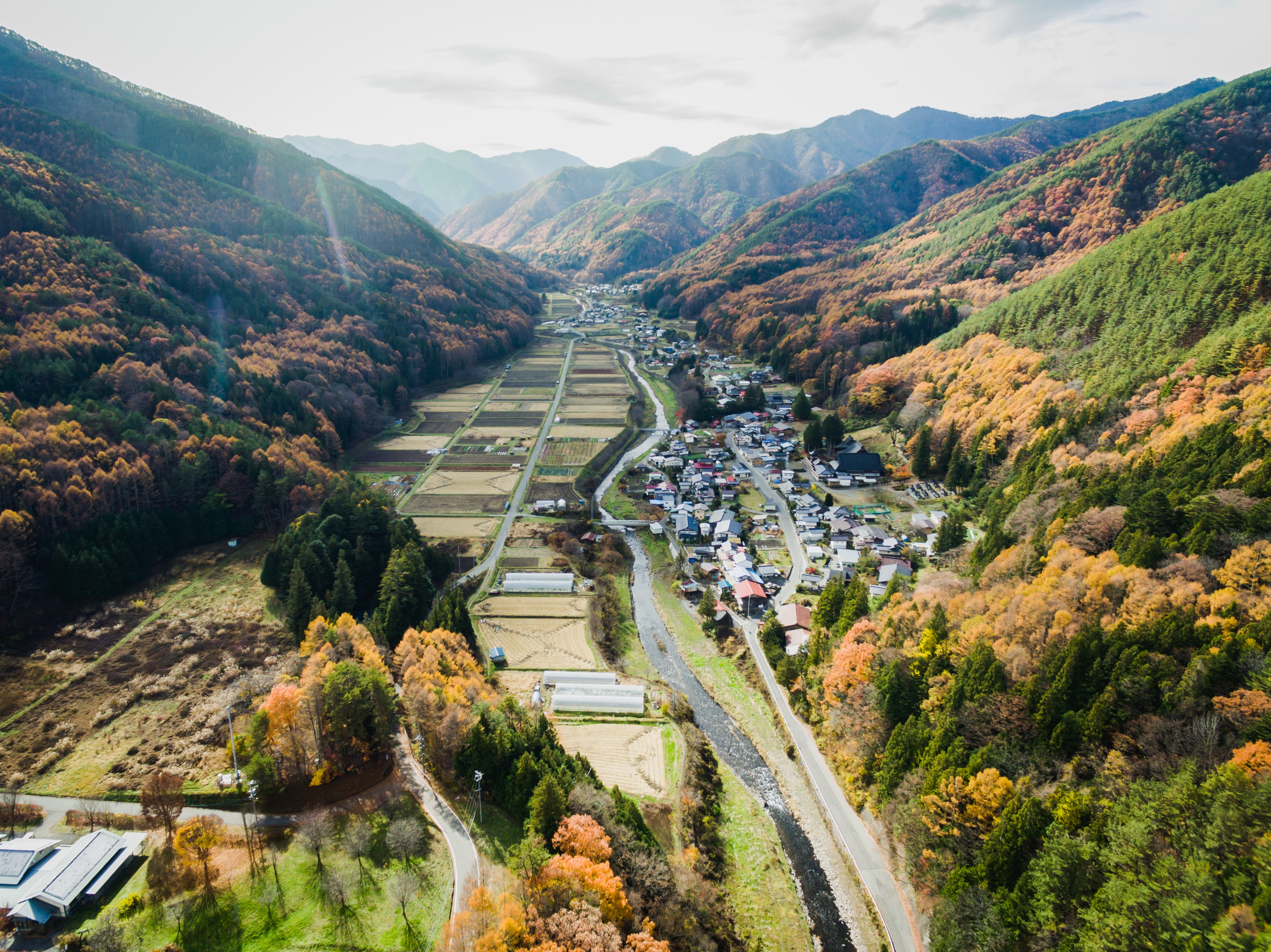 Autumn in the Kawashima area