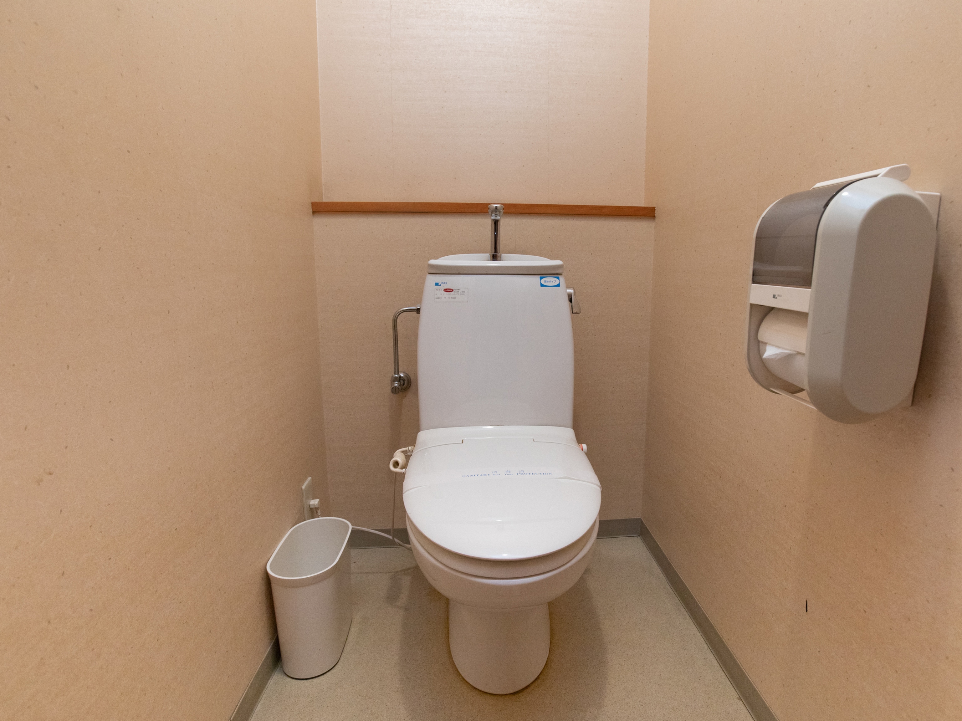 Japanese-style toilet