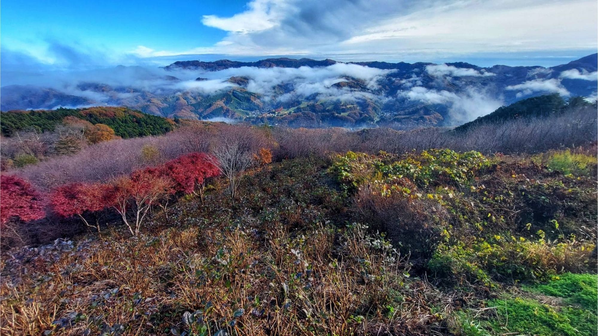 For Minoyama Autumn Plan
