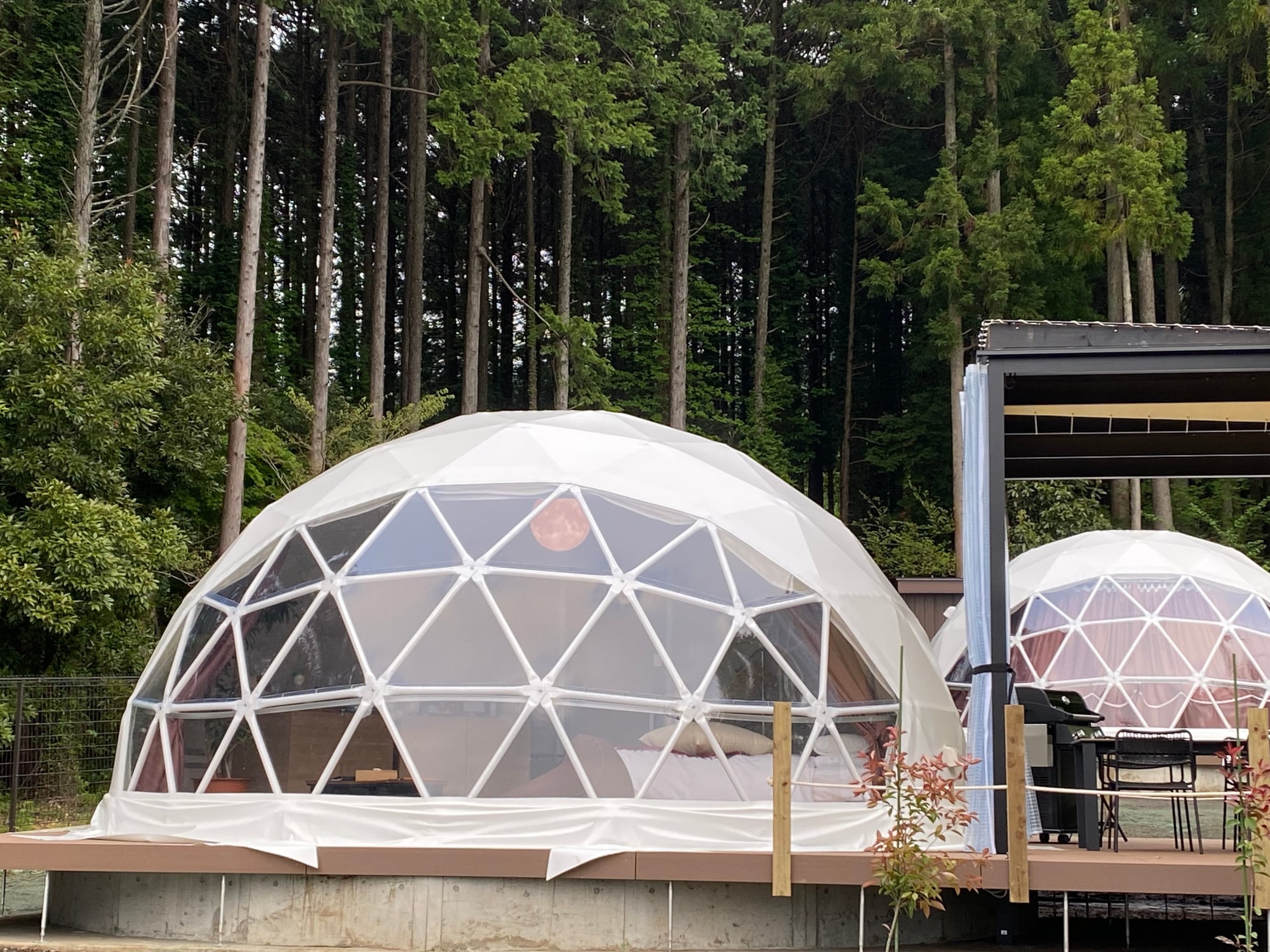 Glamping Dome