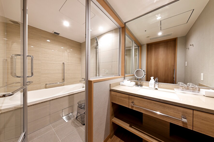 Executive Room Bathroom