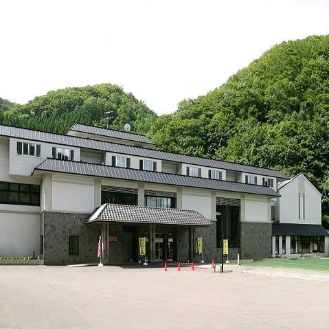 Appearance image
