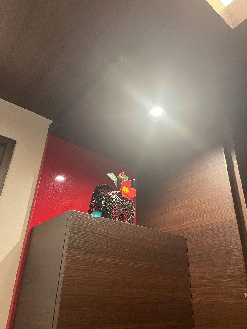 IMG_3872.jpeg
