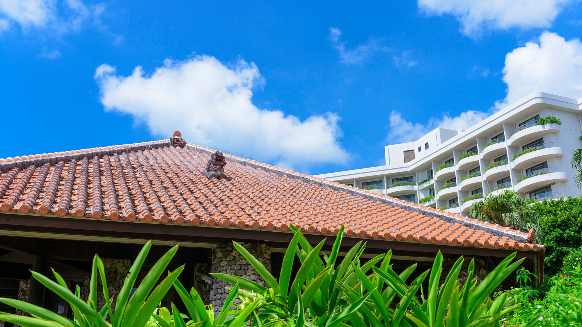 The guardian god Shisa is enshrined on the red tile roof.