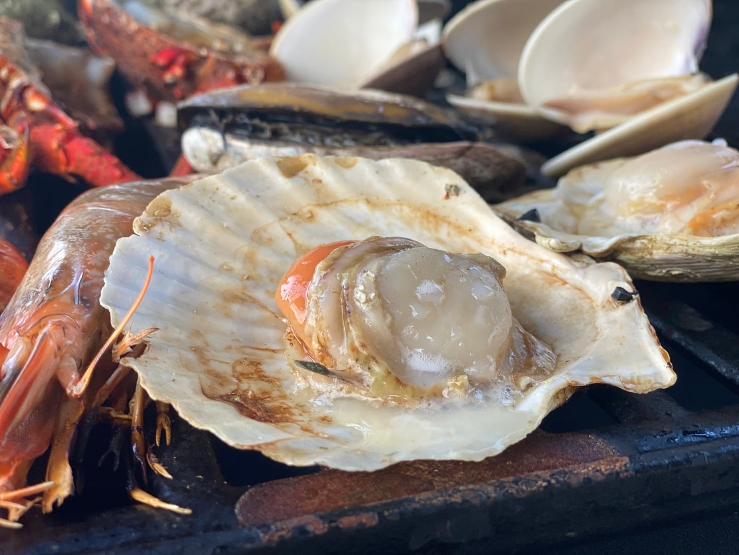 Grilled scallops