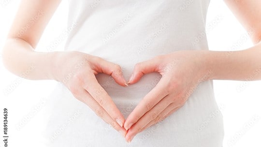 Maternity plan for pregnant women