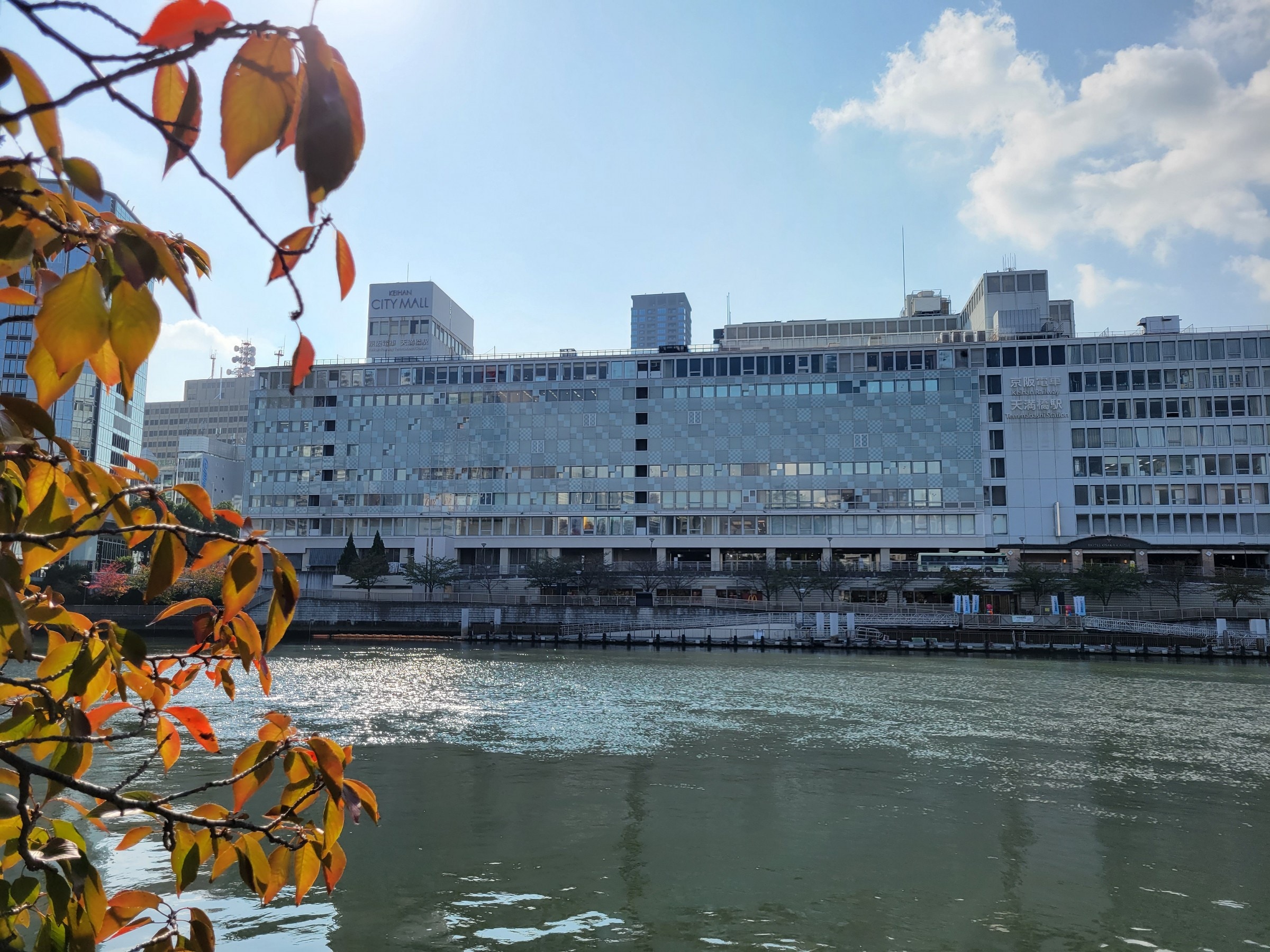 scenery (autumn)