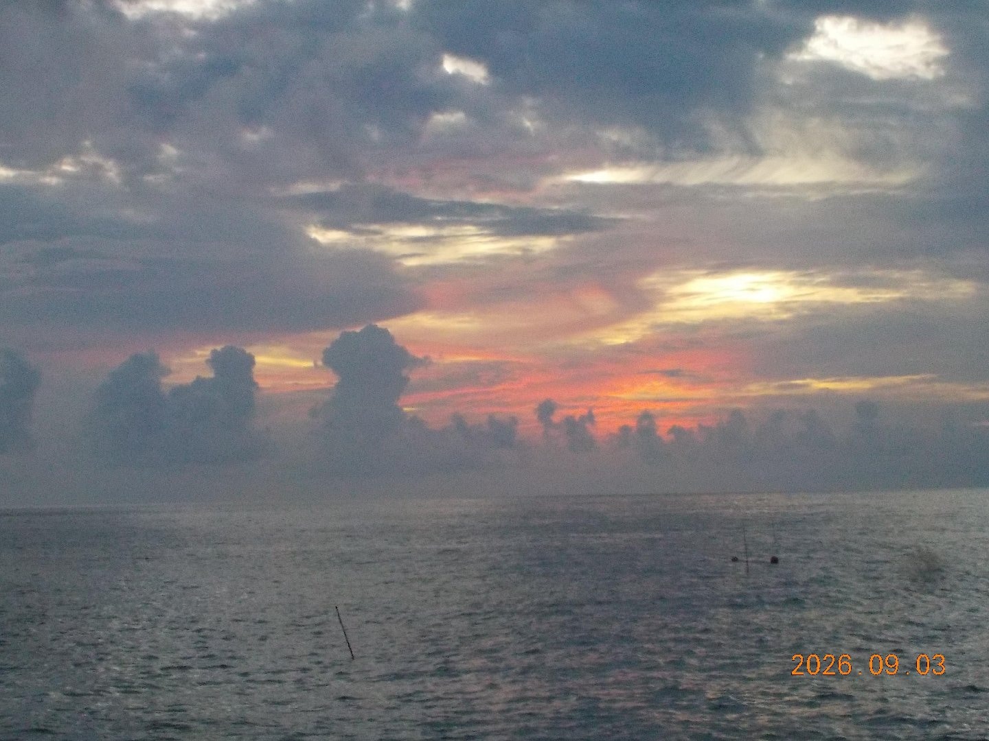 DSCN2485.JPG