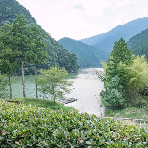 [景色] 這是餐廳外的景色。