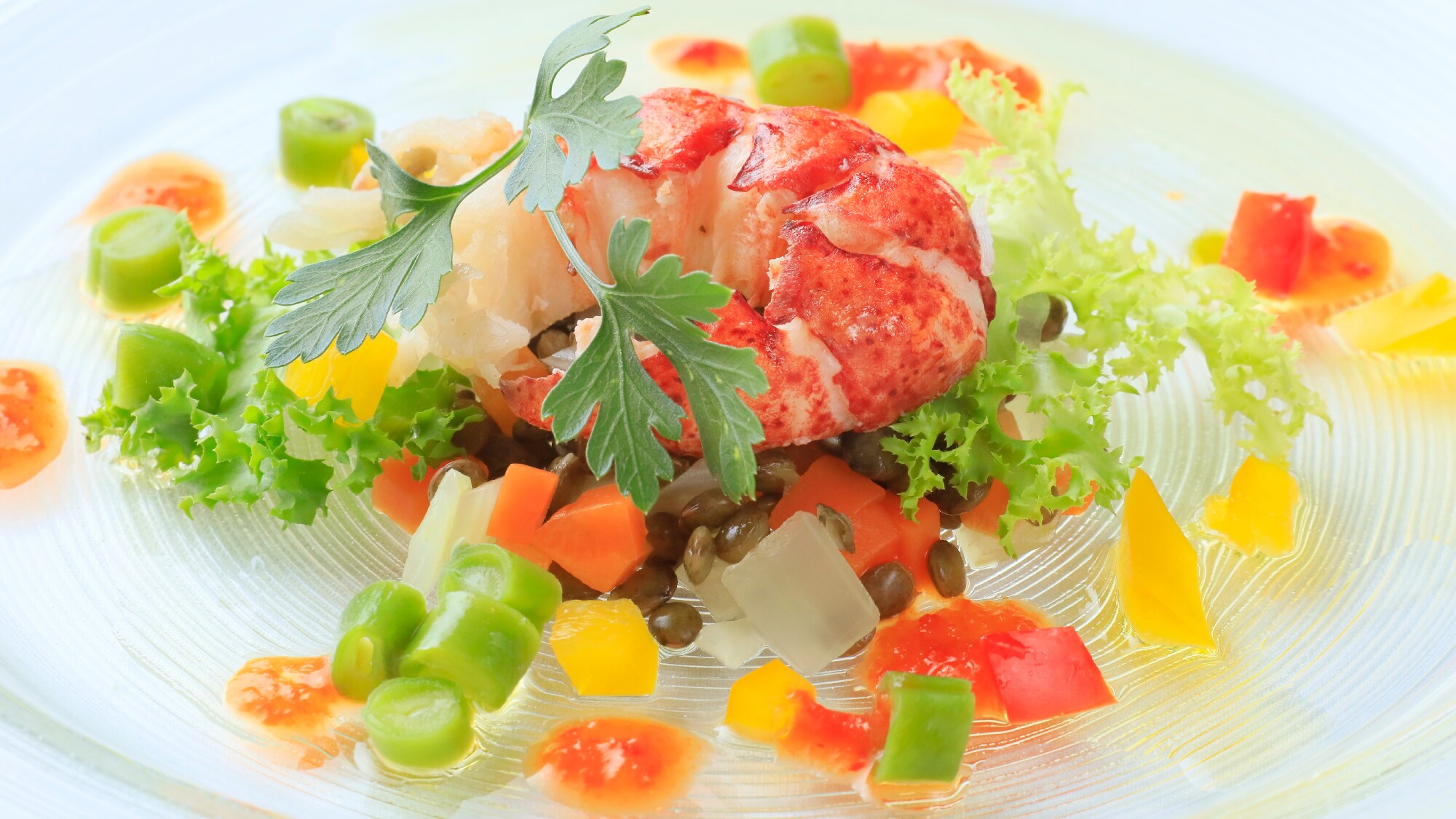 【高级】开胃菜 *示例