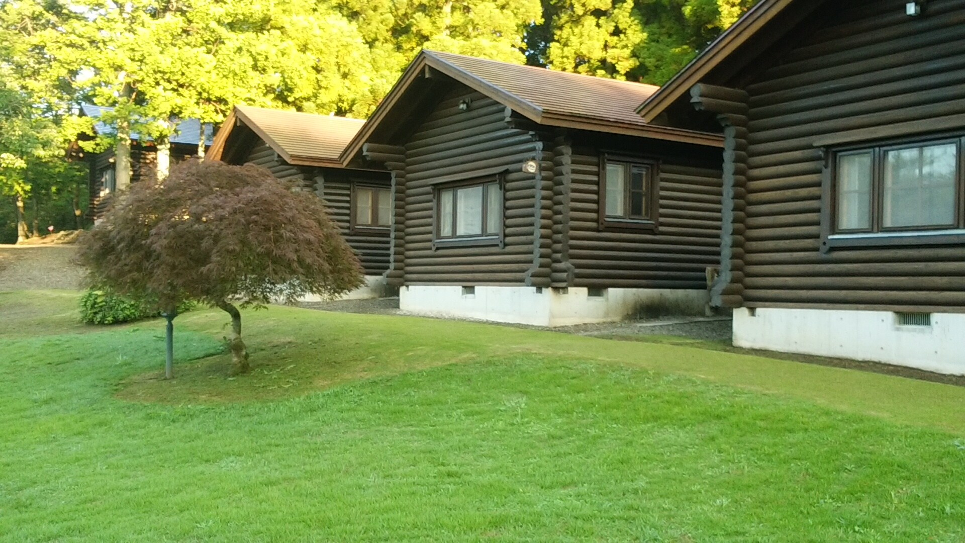 Rooms in a detached log house