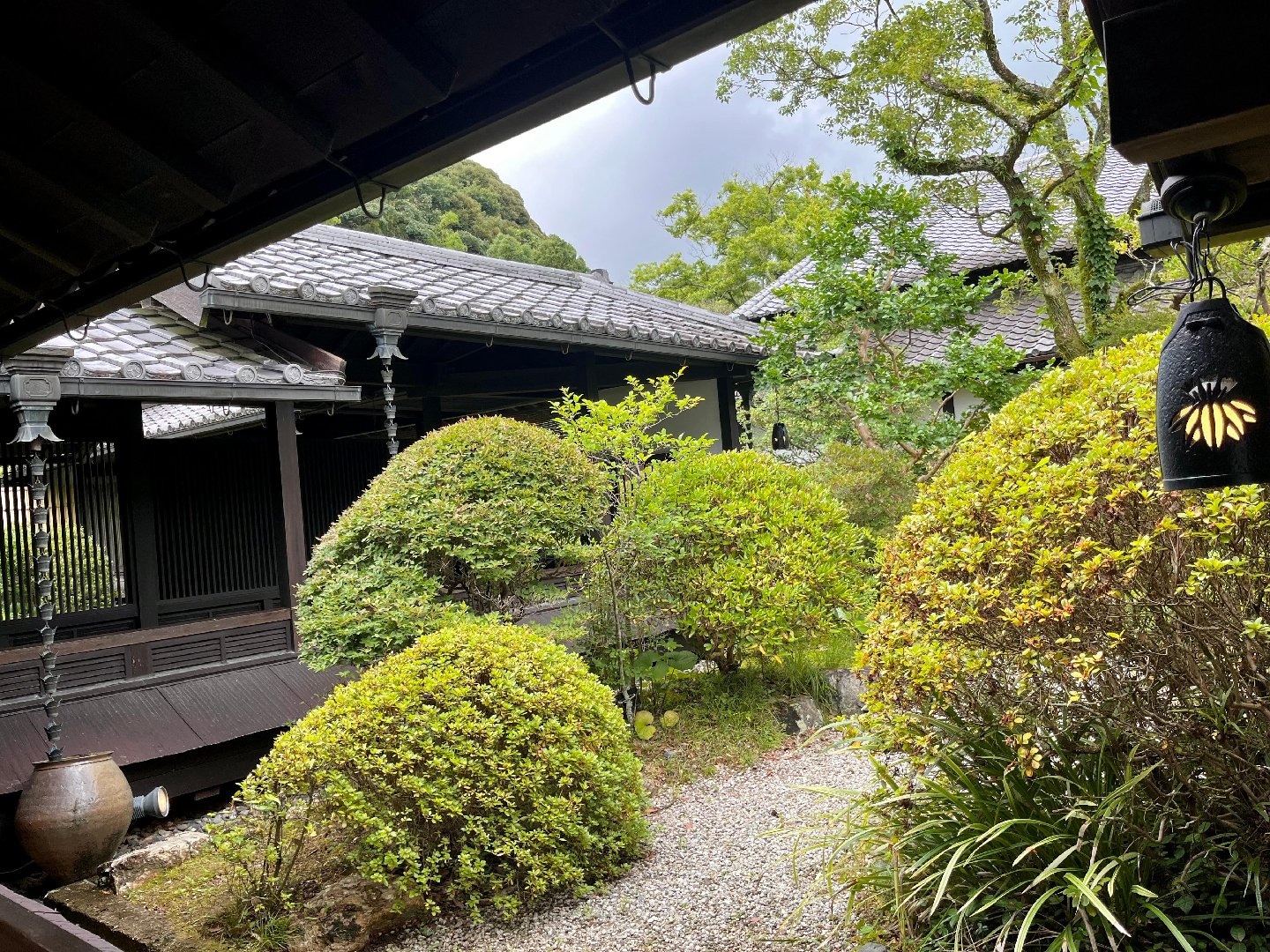 IMG_8696.jpeg