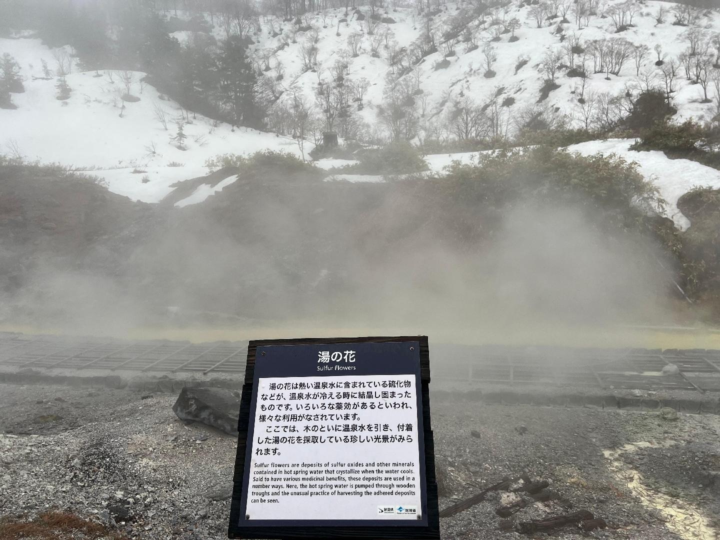 020A2F2D-B13C-47B9-A132-CFDD8556A769.jpeg