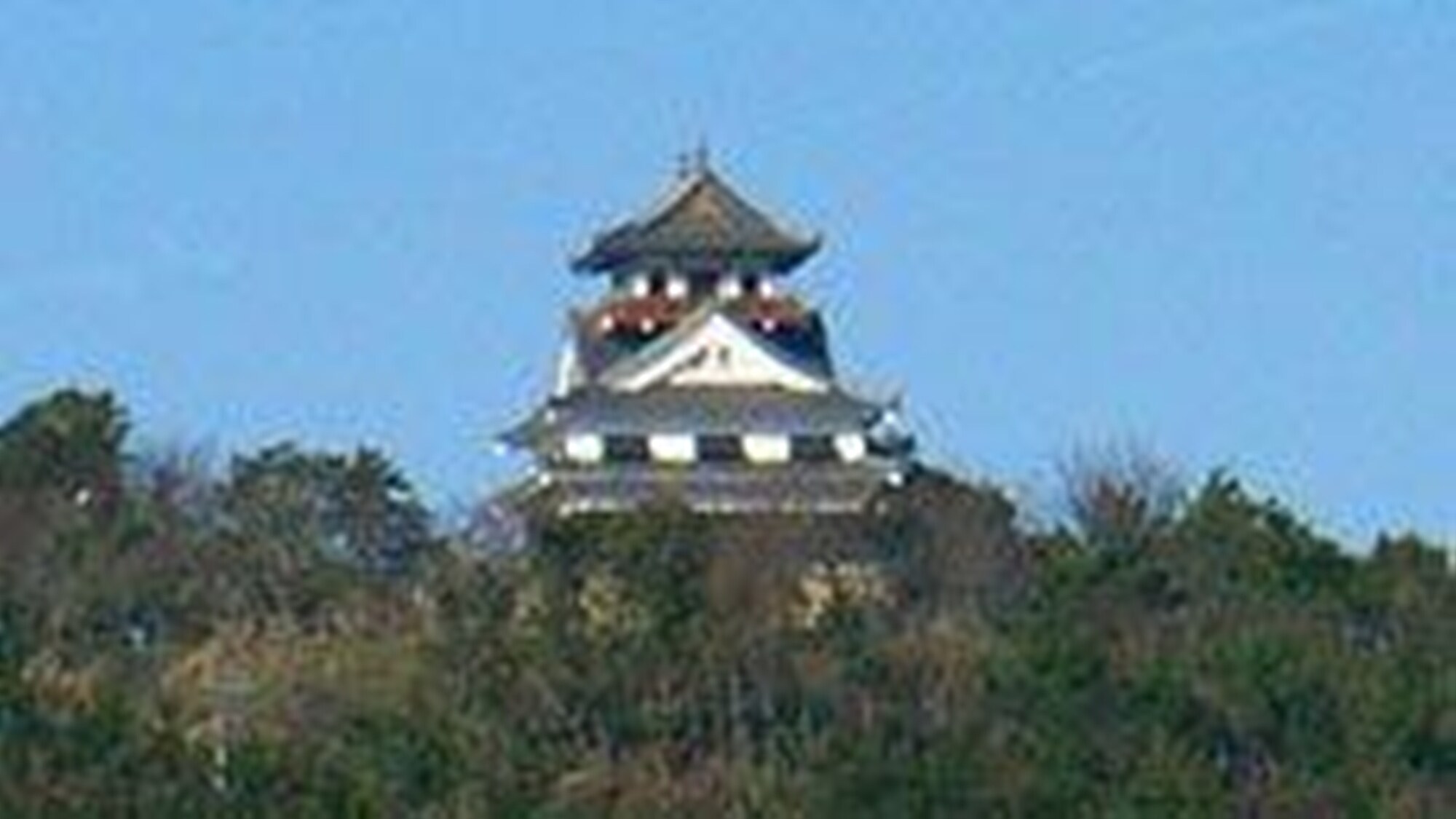 * Kawanoe Castle