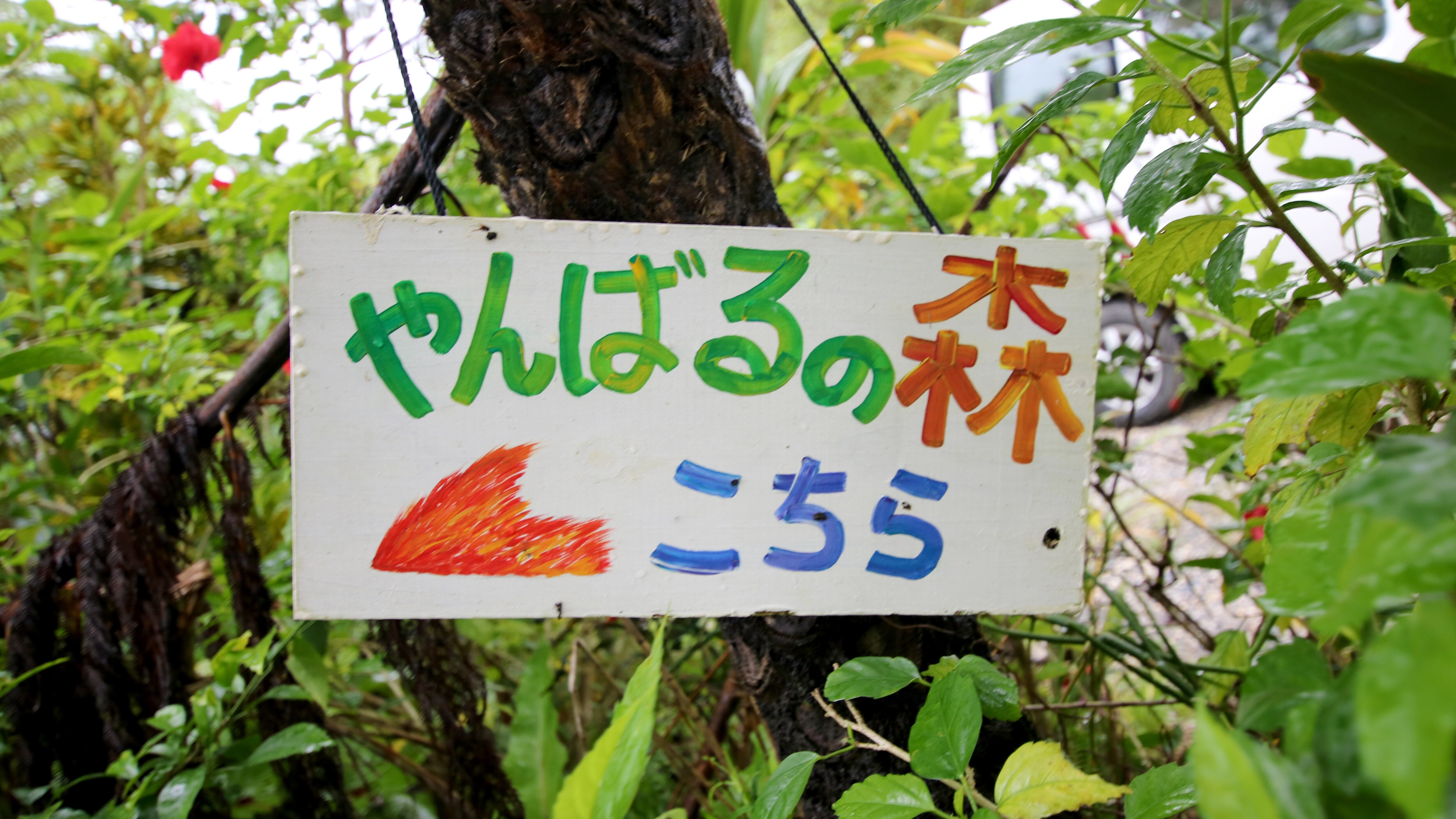 Yanbaru no Mori