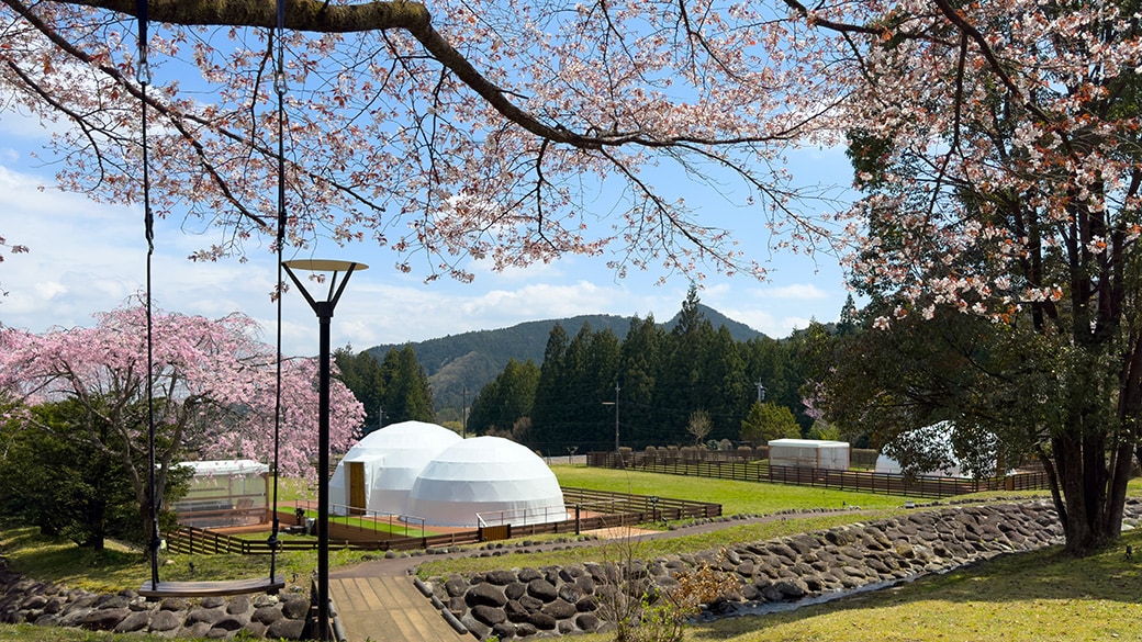 [Cho phép mang theo vật nuôi] Twin Dome