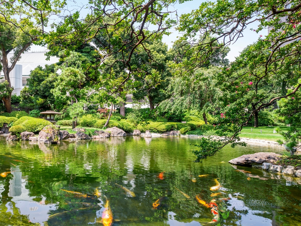Japanese garden pond