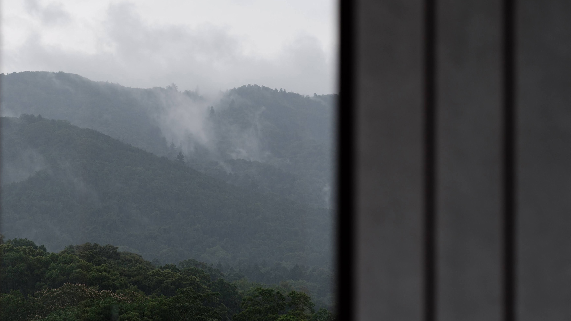 ジュニアスイート / 和洋室