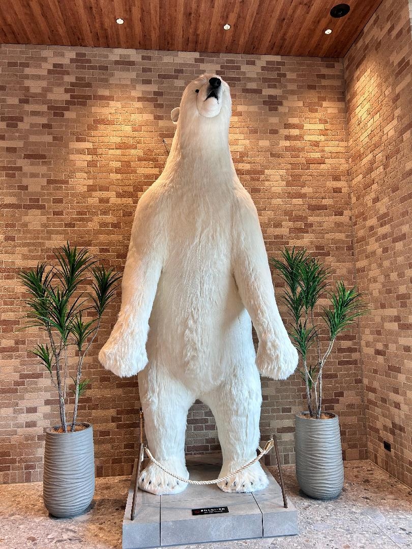 CD91225E-E2F0-4D65-ADC2-228B81B39F97.jpeg