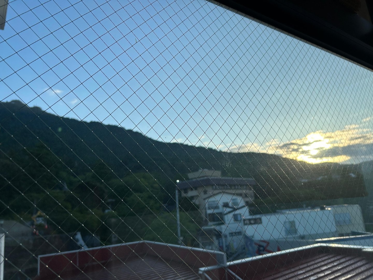 IMG_6267.jpeg