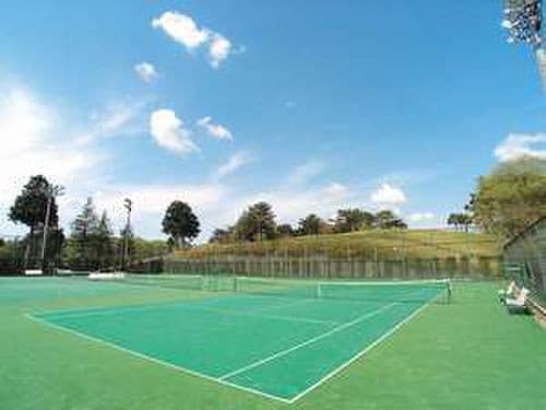 Tennis court
