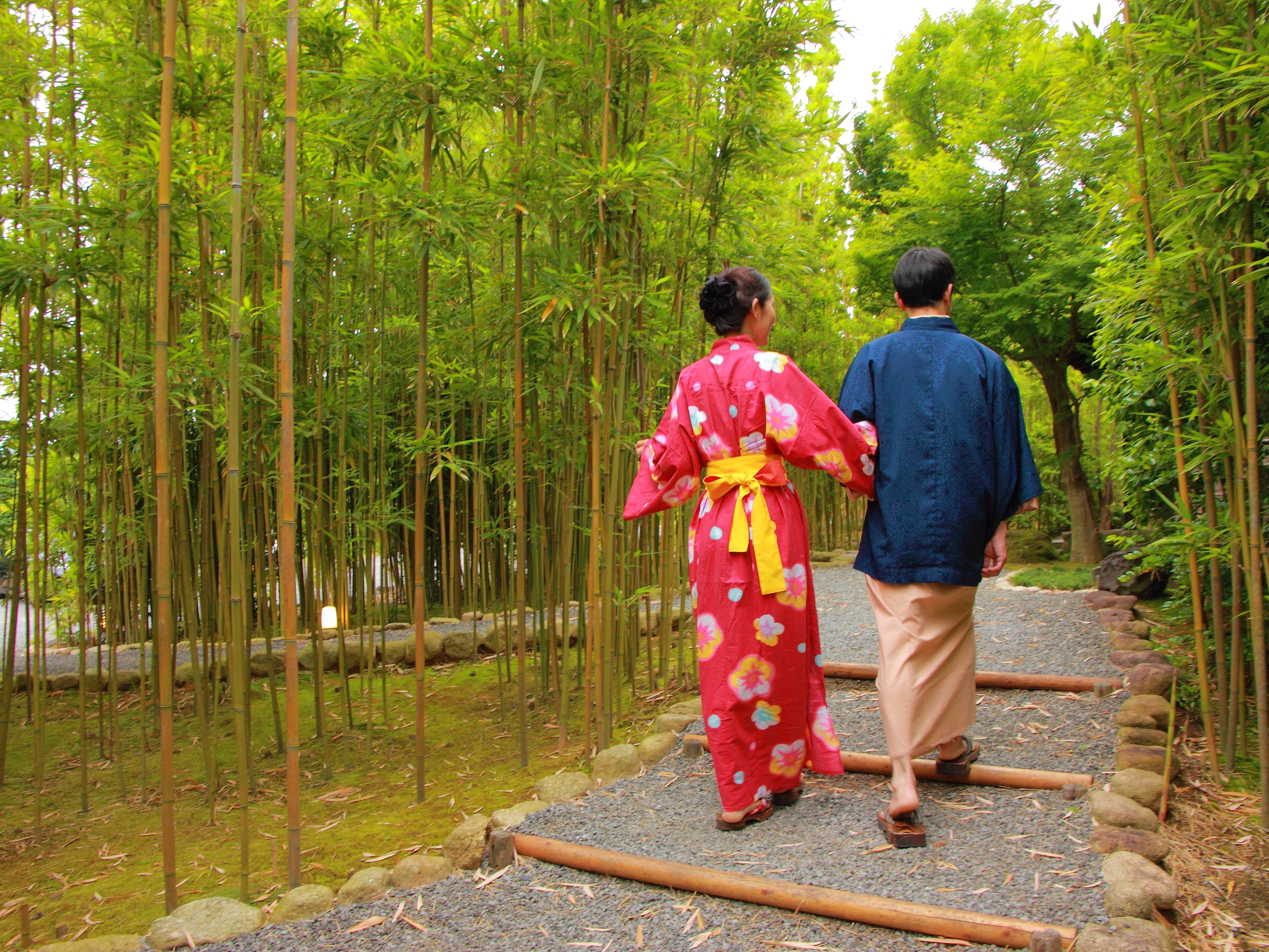 [Bamboo path] Early walks are also recommended. You can also meet squirrels.