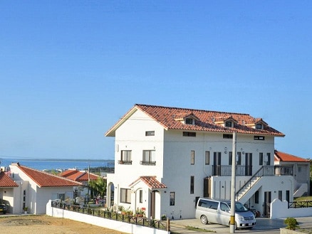 Appearance image