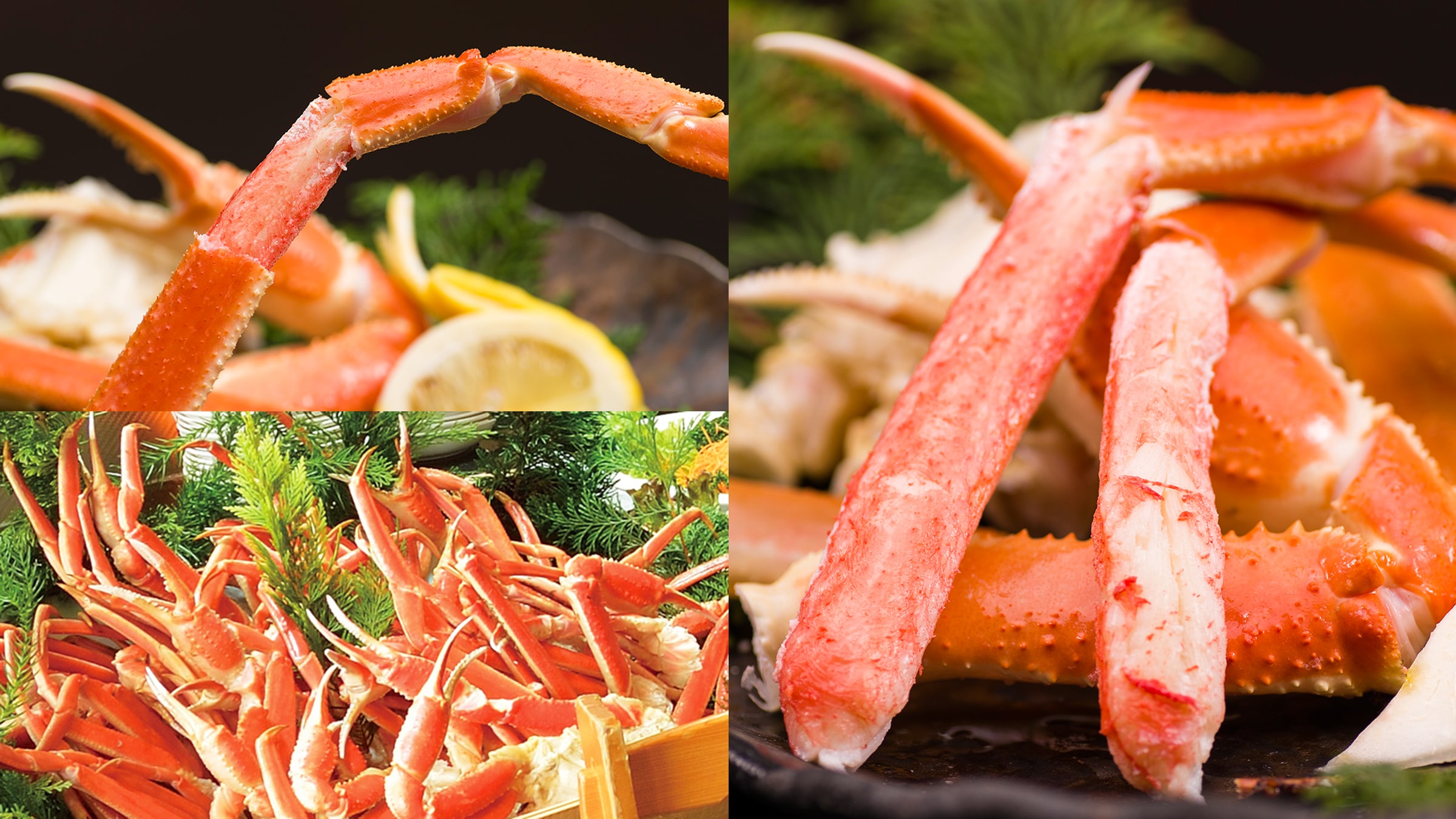 [餐點] 維京螃蟹與吃到飽書 祖外蟹