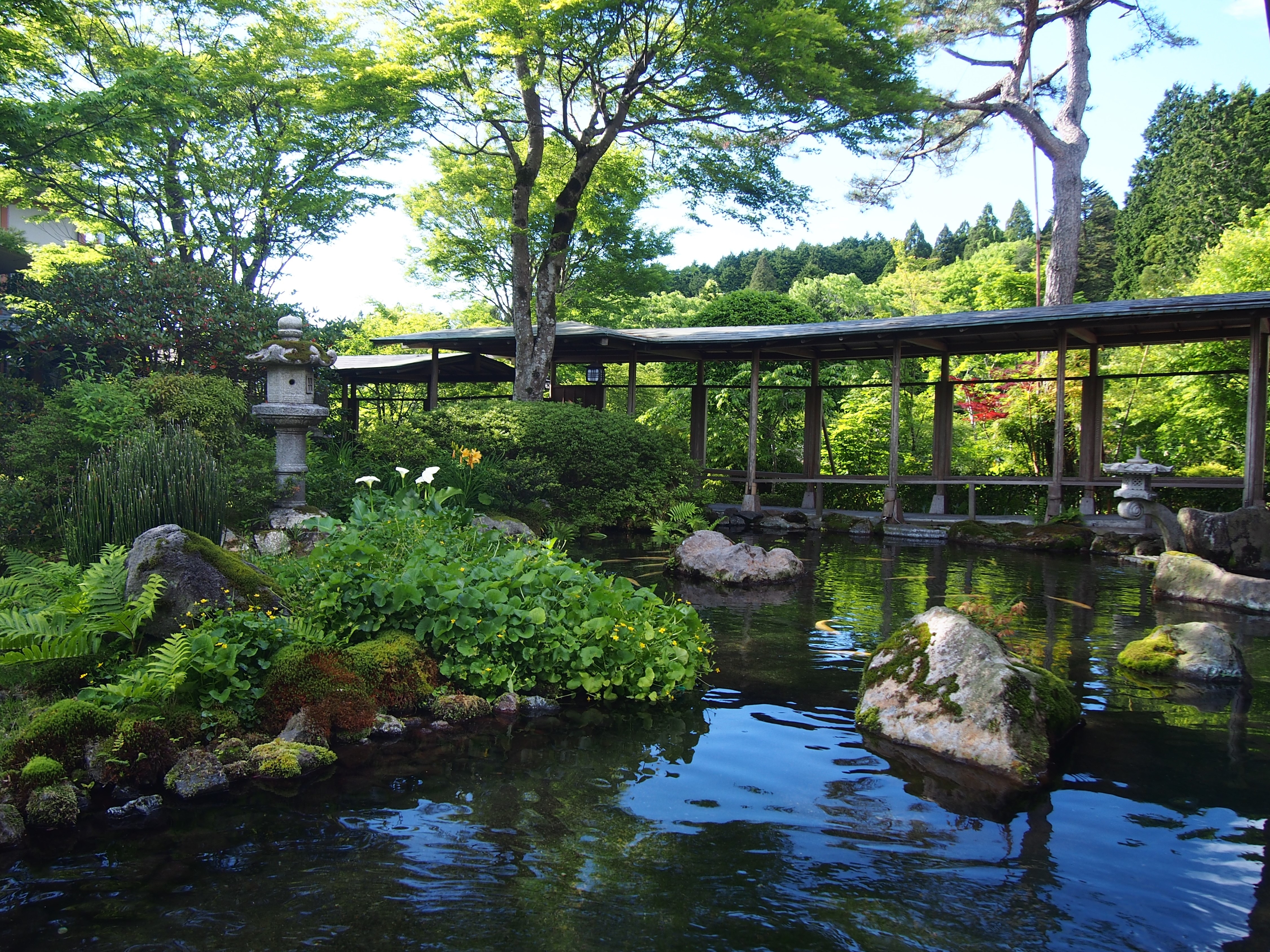 蓝绿季节：庭院