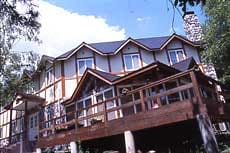 Appearance image