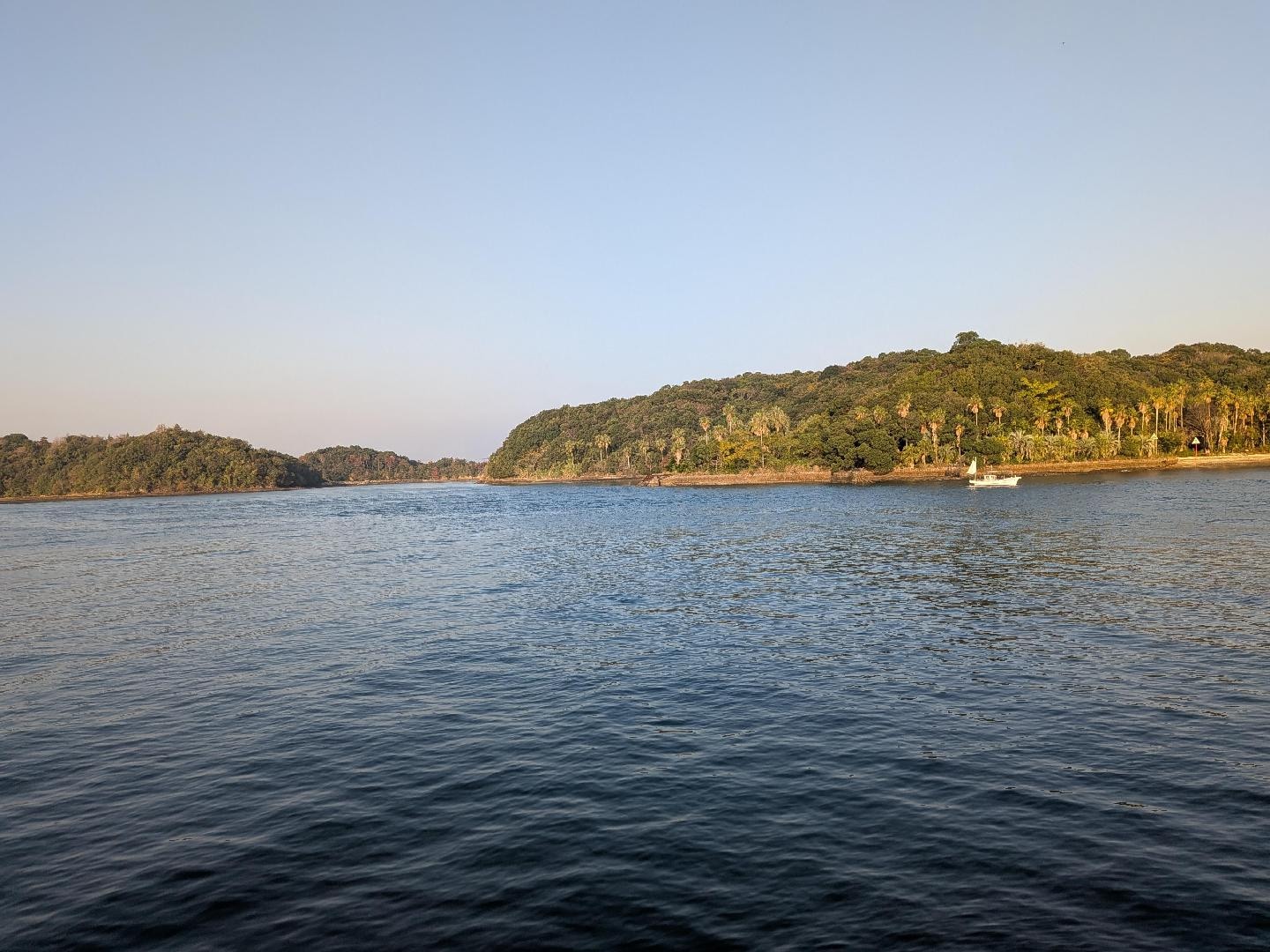 PXL_20251114_225850159.MP (002).jpg