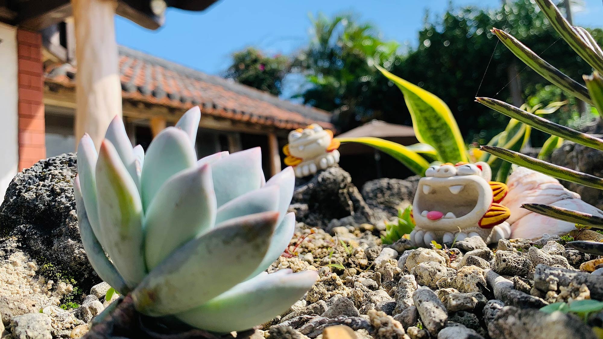 ・ "Main building" cute Shisa is waiting for you ♪