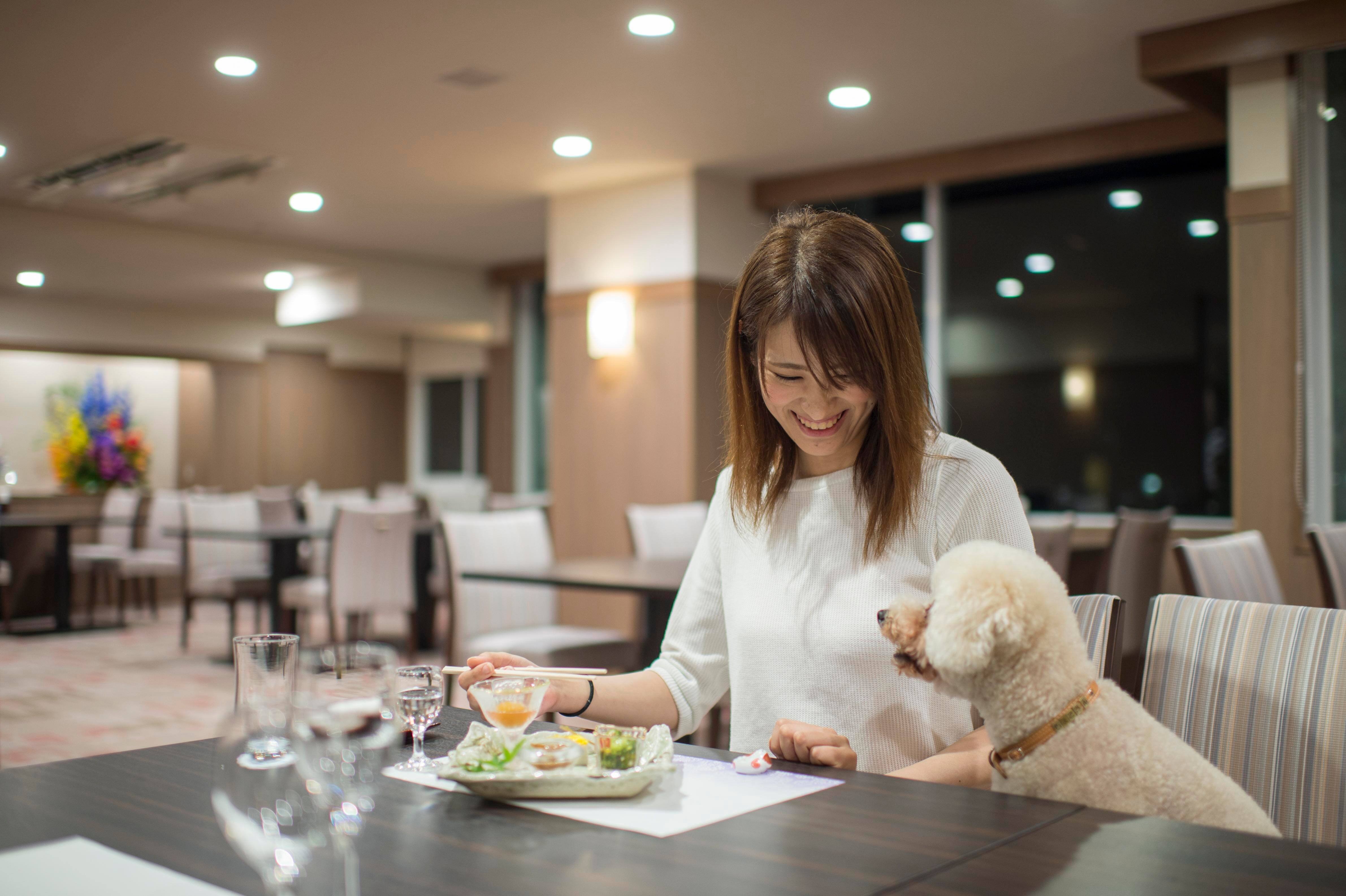 The restaurant is also with the doggy