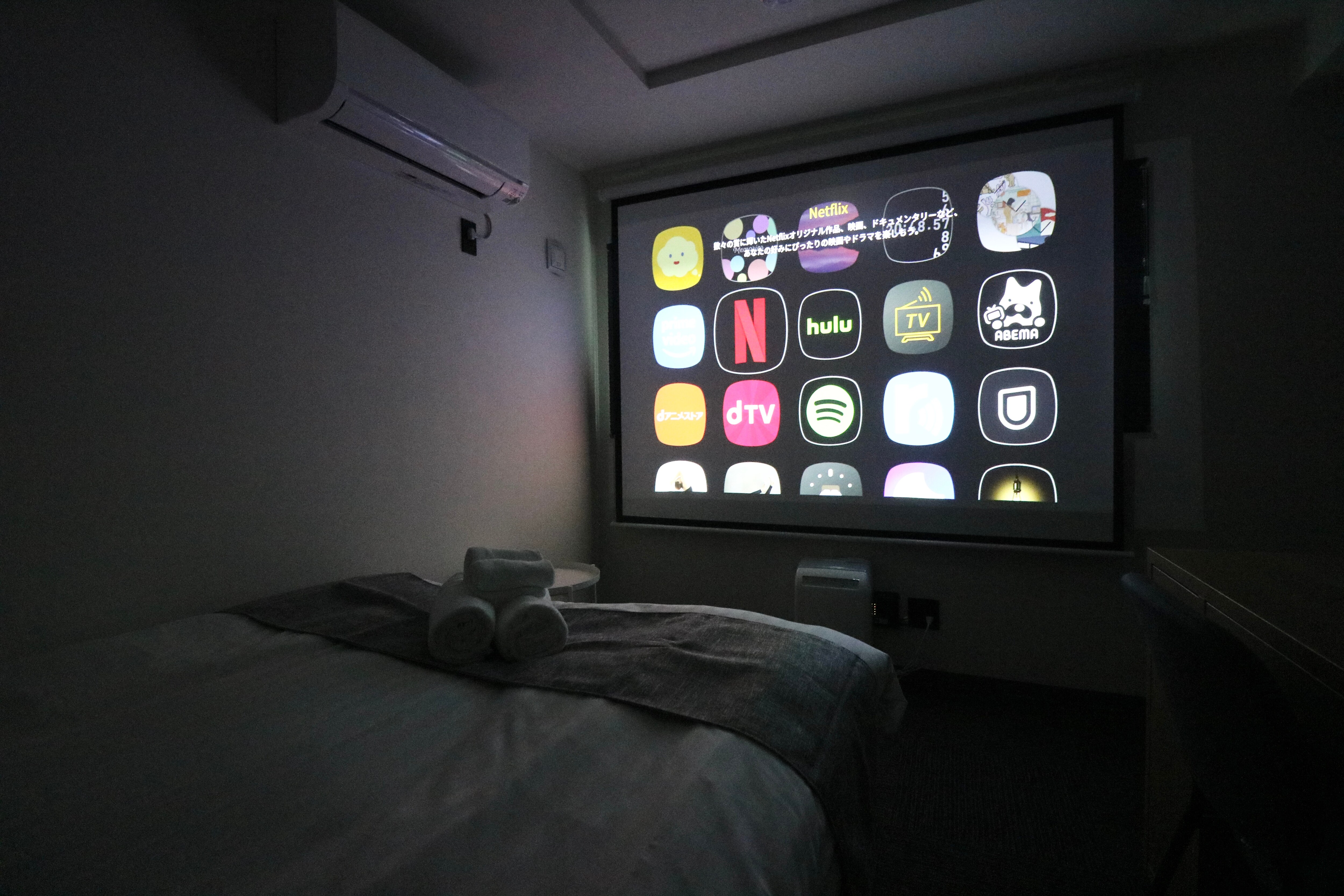 Projector screen