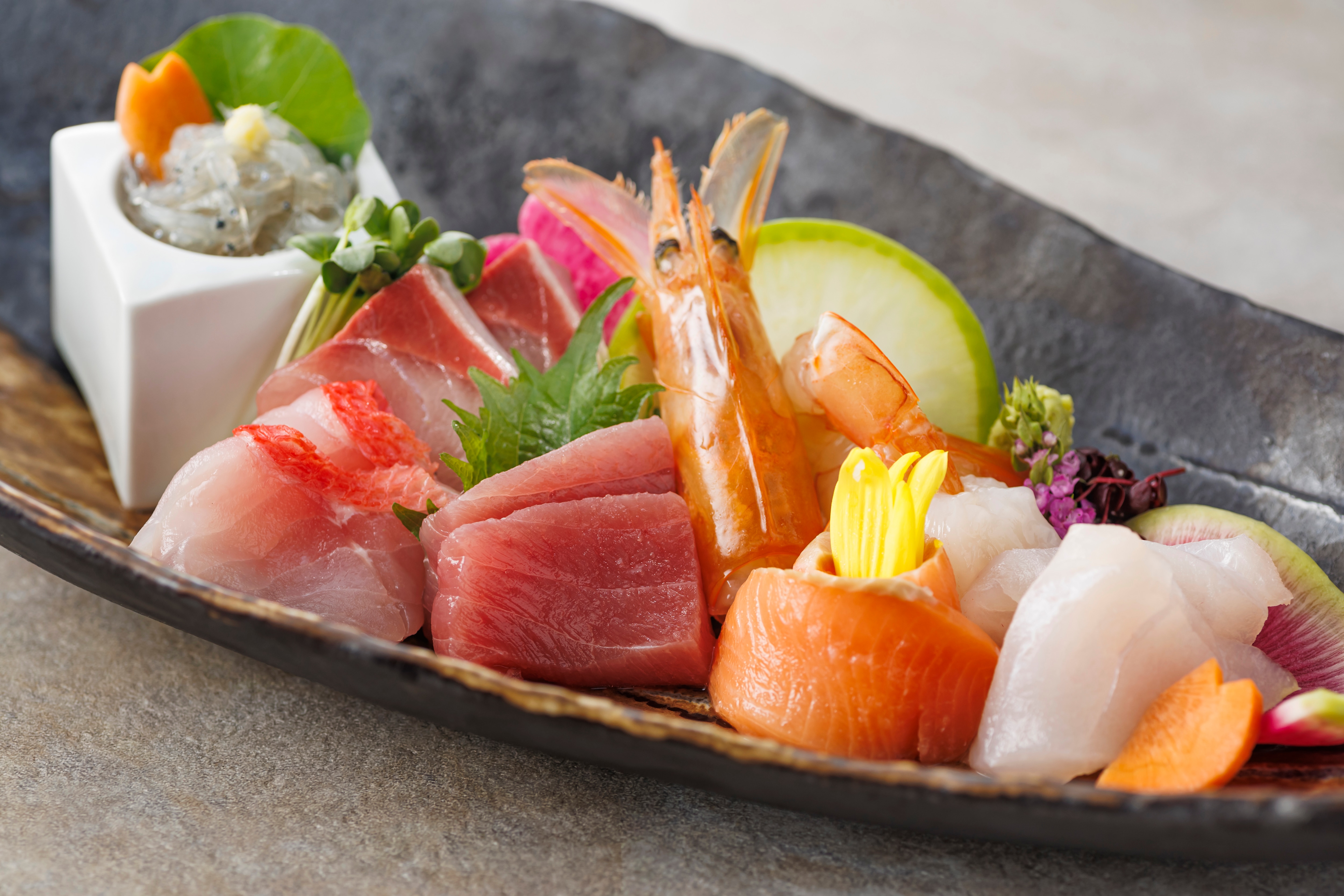 MEGUMI Course Spring Plan (March 1st - May 31st) Sashimi