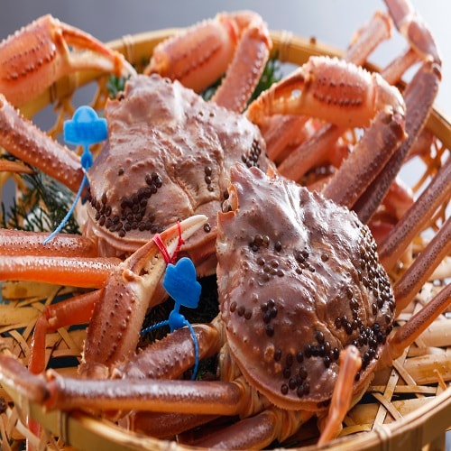 Sweet Matsuba crab