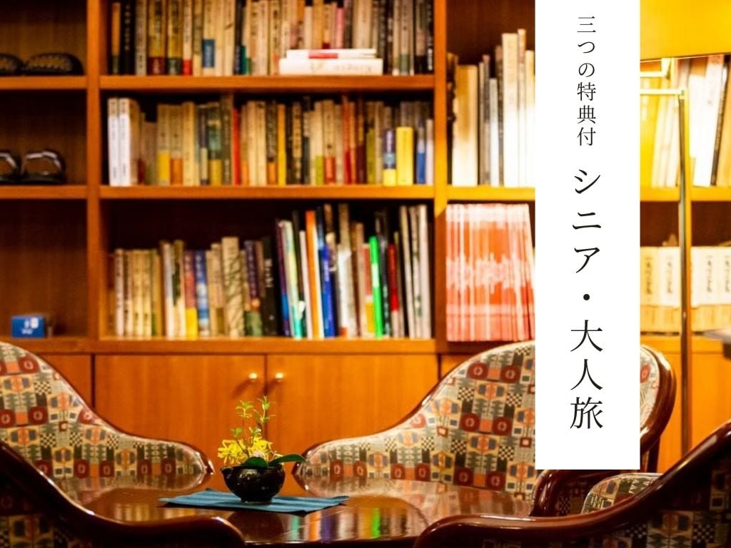 高级计划