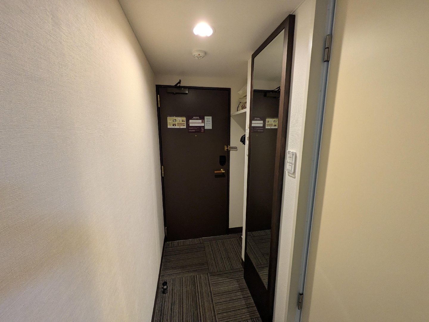 9123.jpg