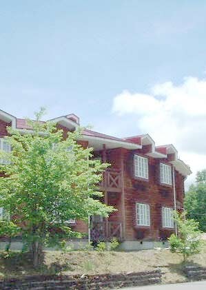Appearance image