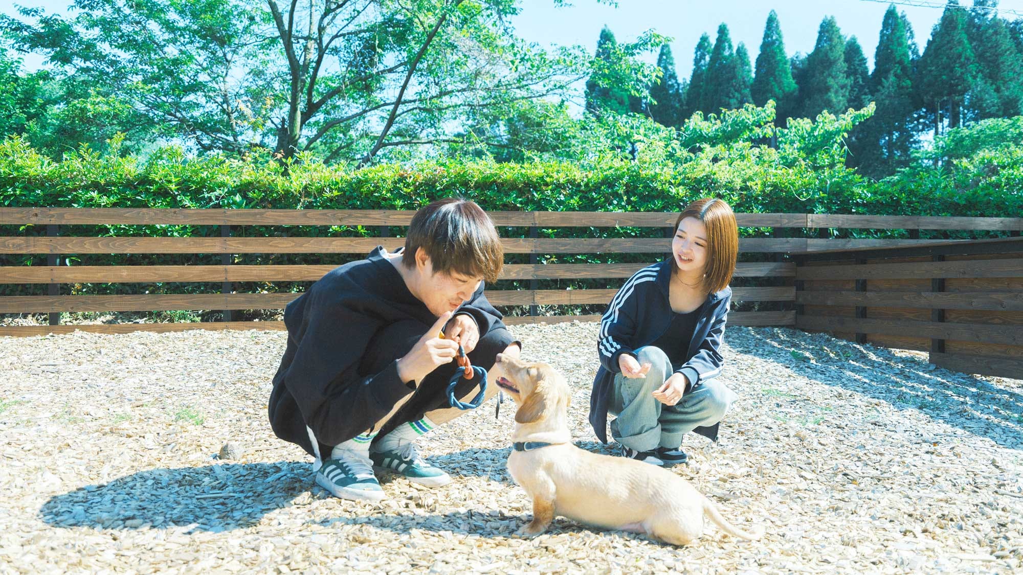 【/With Dogs・1호실(53㎡)】방마다 울타리가 있으므로 안심하고 놀 수 있습니다.
