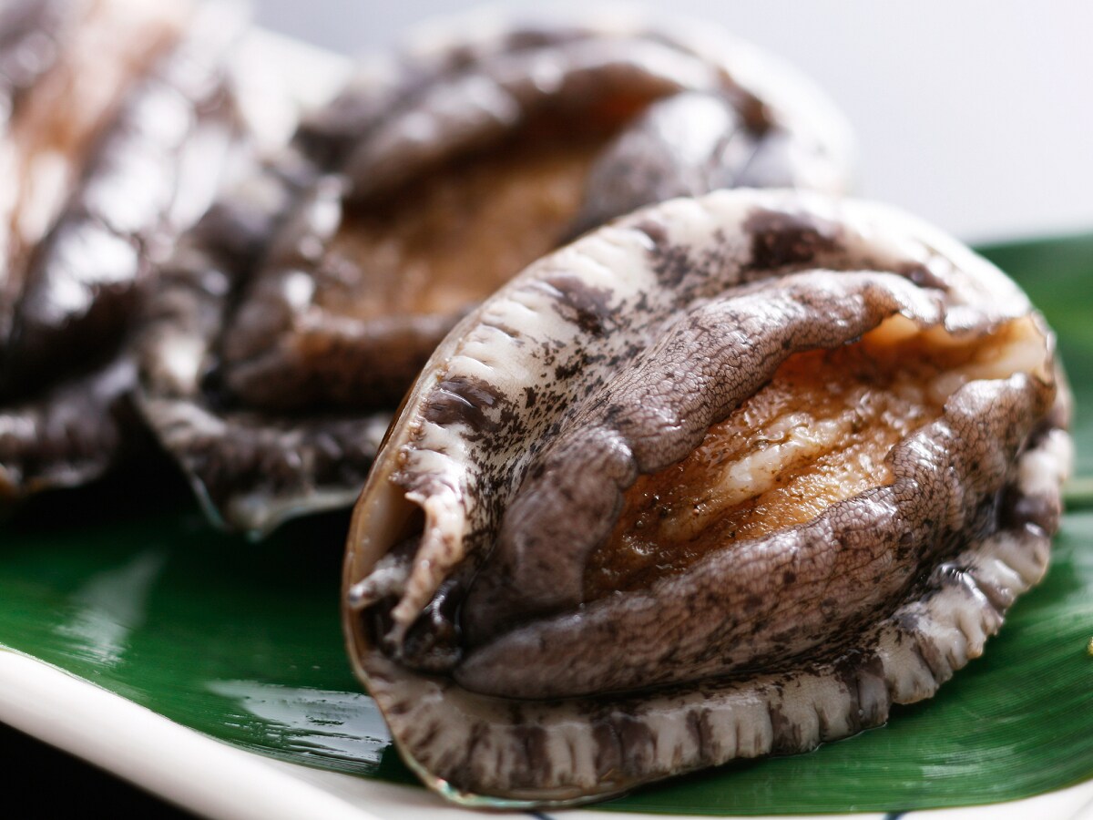 This plan includes live abalone