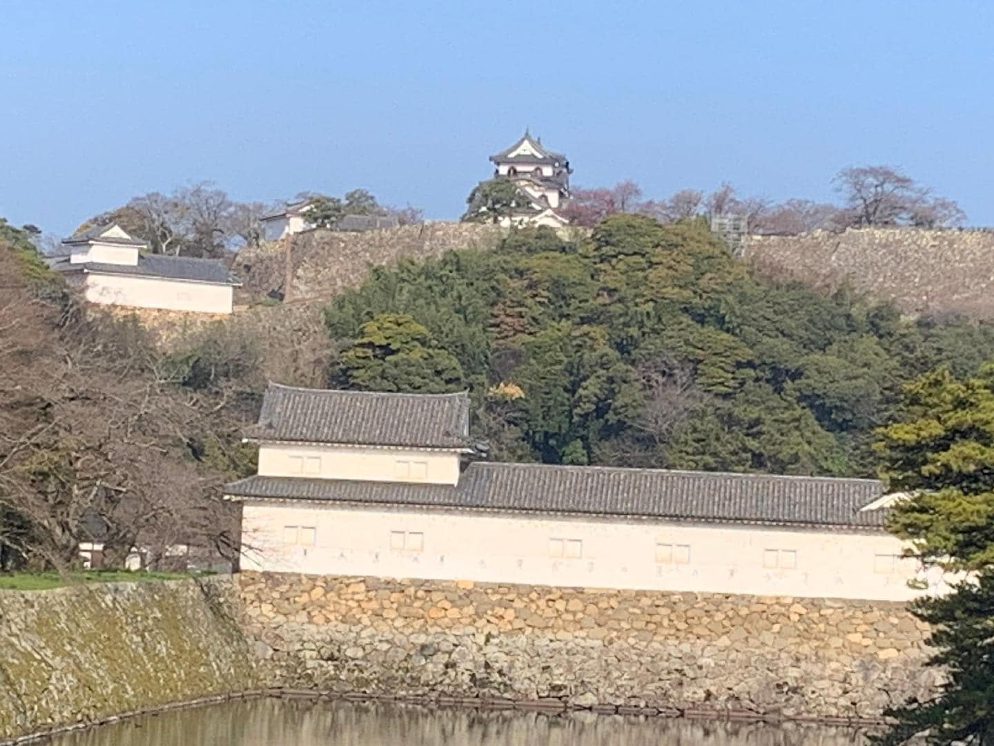 IMG_8627.jpeg
